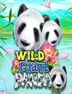 Ninja ทดลองเล่น รีวิวเกมสล็อตสุดมันจาก Jili